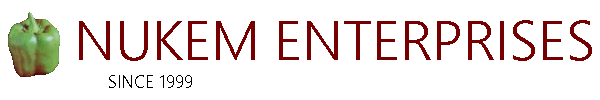 Nukem Enterprises Since 1999